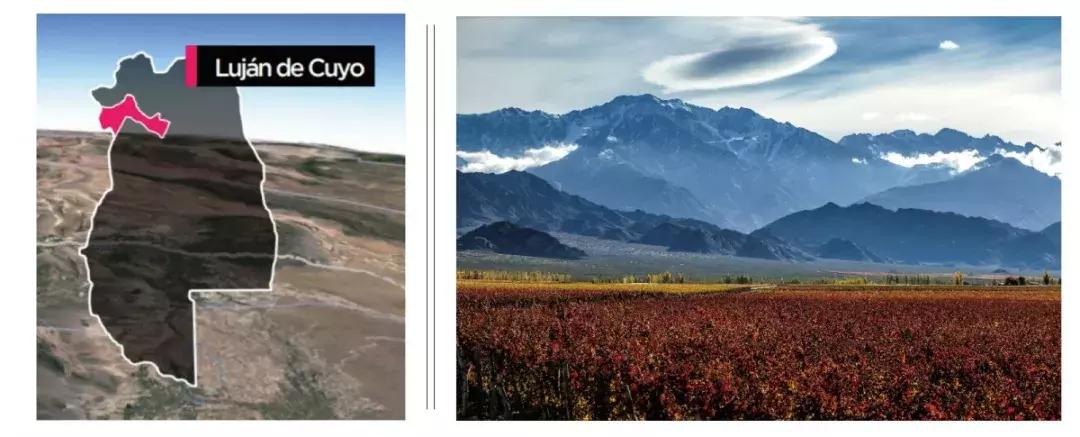 不能拒绝的维也纳咖啡文化,不能拒绝的口味