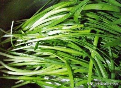 韭菜中检出镉超标，什么因素导致？哪些食材能助力重金属元素排出体外？