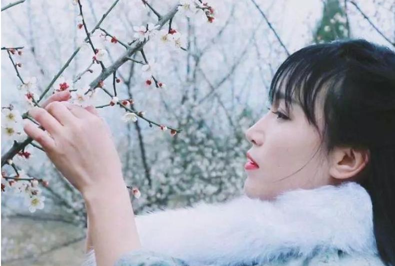 李子柒一岁辍学,李子柒七岁辍学31岁身价过亿