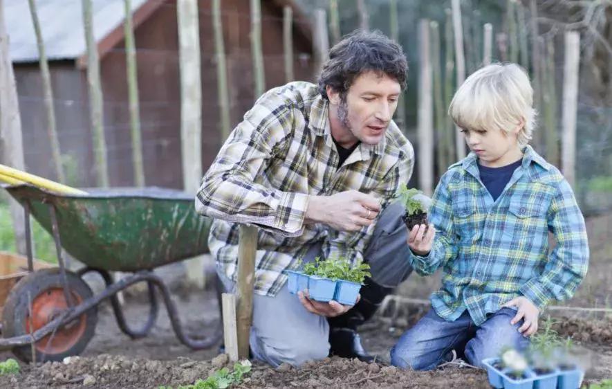 乡村旅游助推乡村振兴与扶贫,党建引领乡村旅游助力乡村振兴