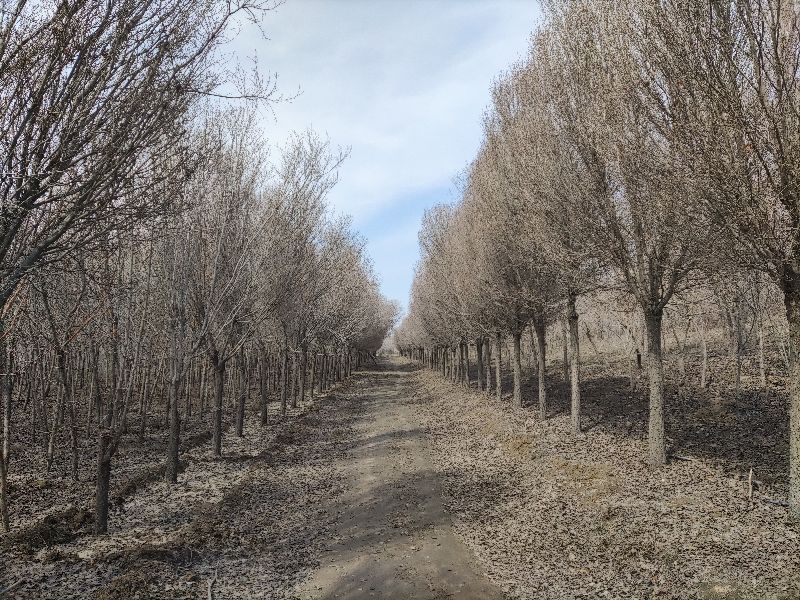 乌鲁木齐周边野营游玩好去处,新疆乌鲁木齐户外游玩