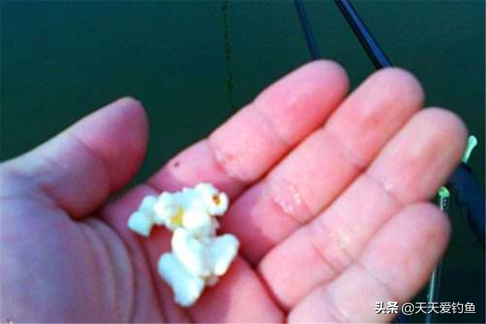 鳊鱼怎么钓喜欢吃什么,鳊鱼喜欢吃什么假饵