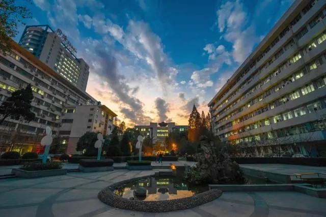 同济大学医学院发展,同济大学医学院现状