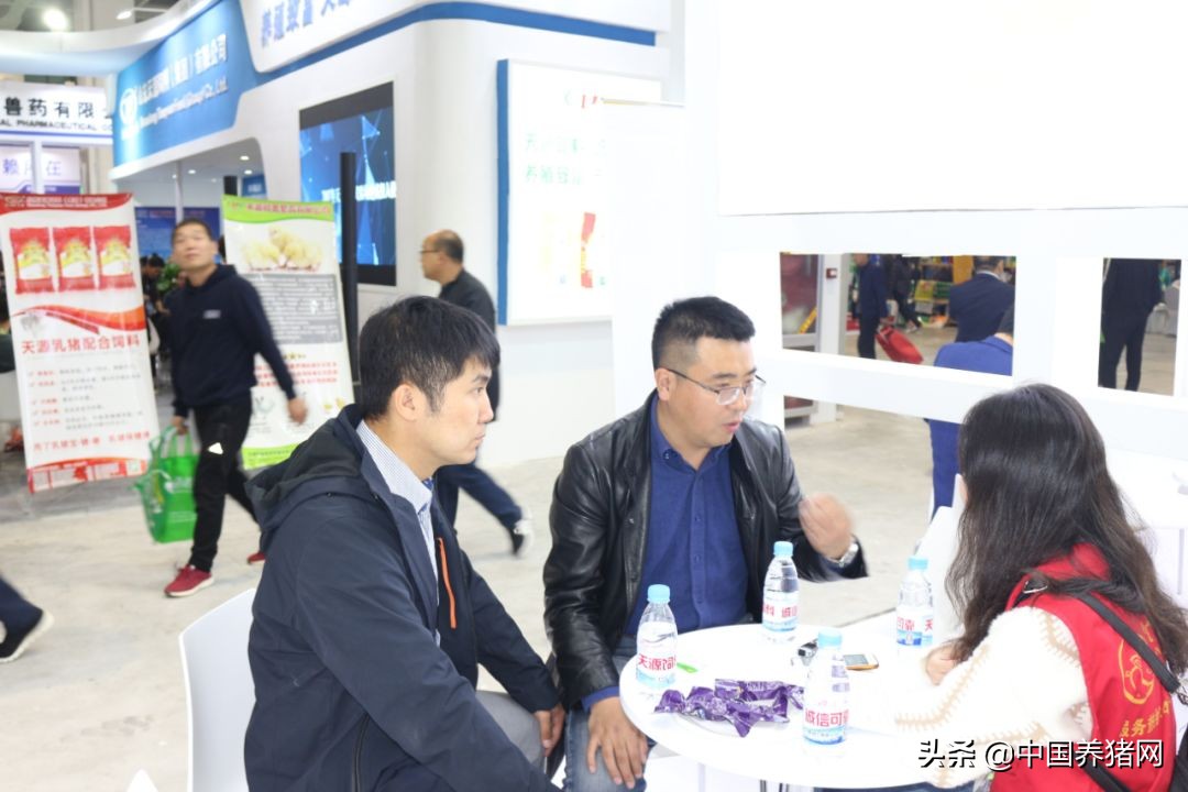 吃得多、出栏快、不拉稀，新希望六和教你金猪行情下抢占先机