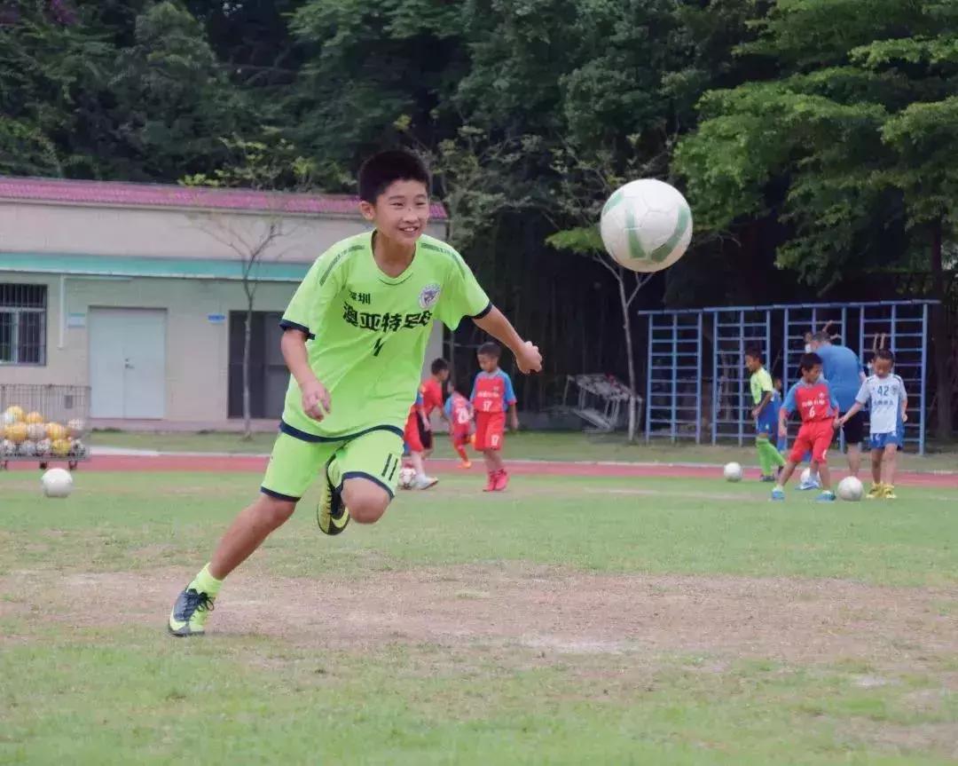 凤凰学校招生简章,凤凰学校招生公告