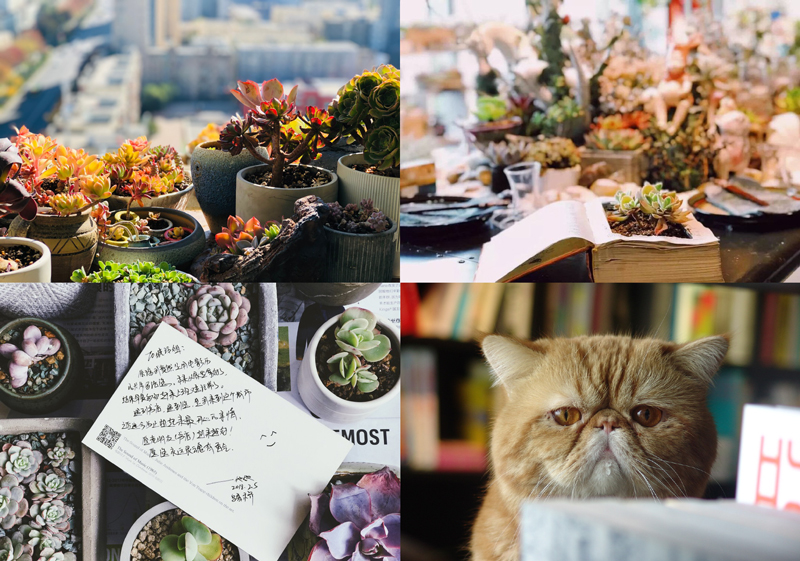 从创意人到创业人，他们12段江湖故事无比精彩（下）