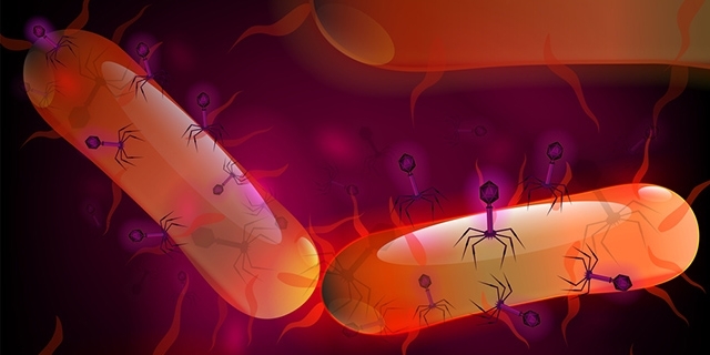 中国第一例噬菌体疗法视频,噬菌体疗法有哪些药