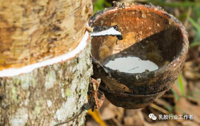 泰国乳胶枕头有钢印就是正品吗,泰国乳胶枕挑选技巧