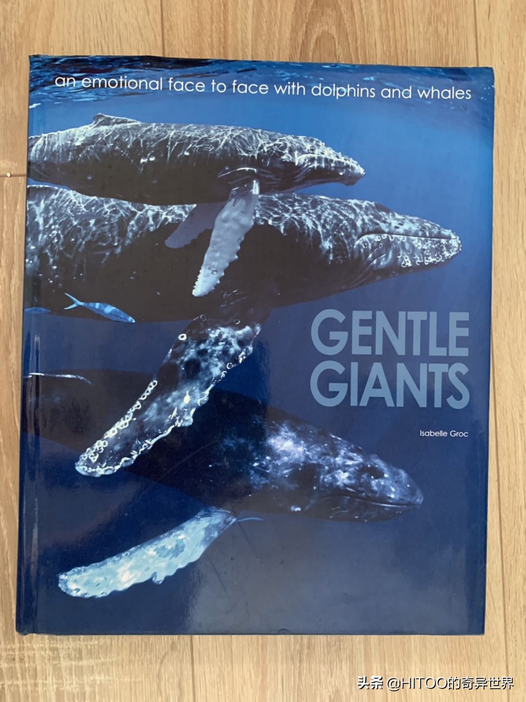 在菲律宾可以买些什么,在菲律宾买手机为何便宜那么多