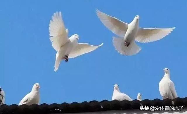 奥运会用的最多的是避孕套，中国足球的辉煌时刻，给你抖一些知识