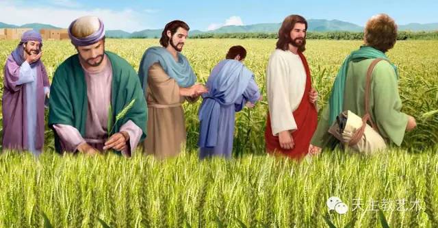 鍦ｅ儚娆ｈ祻 (鍦ｅ儚缁樼敾)