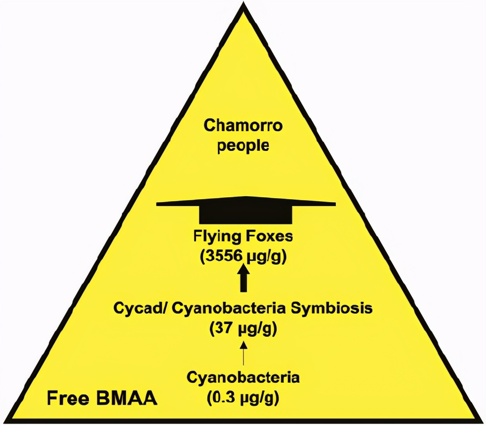 被剥夺体力、脑力甚至呼吸，都因为这道“传统美食”