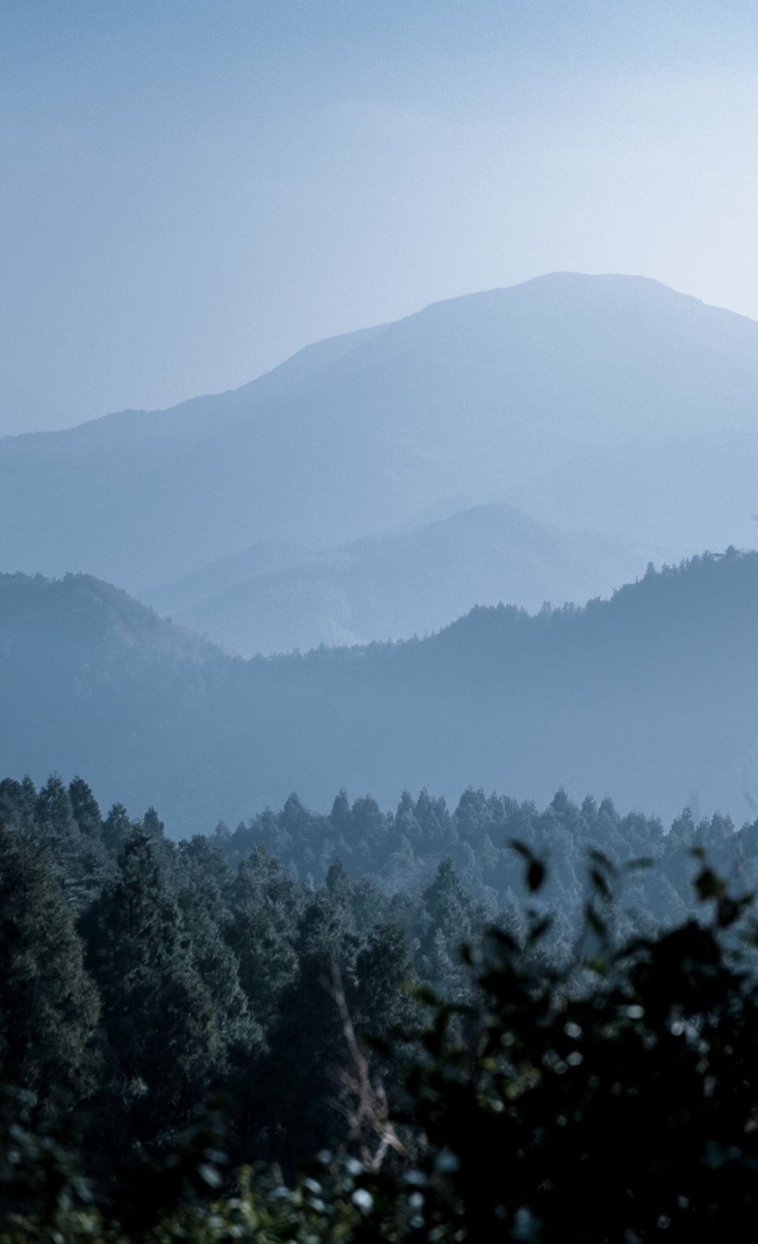 什么是台州畅行码,什么是台州