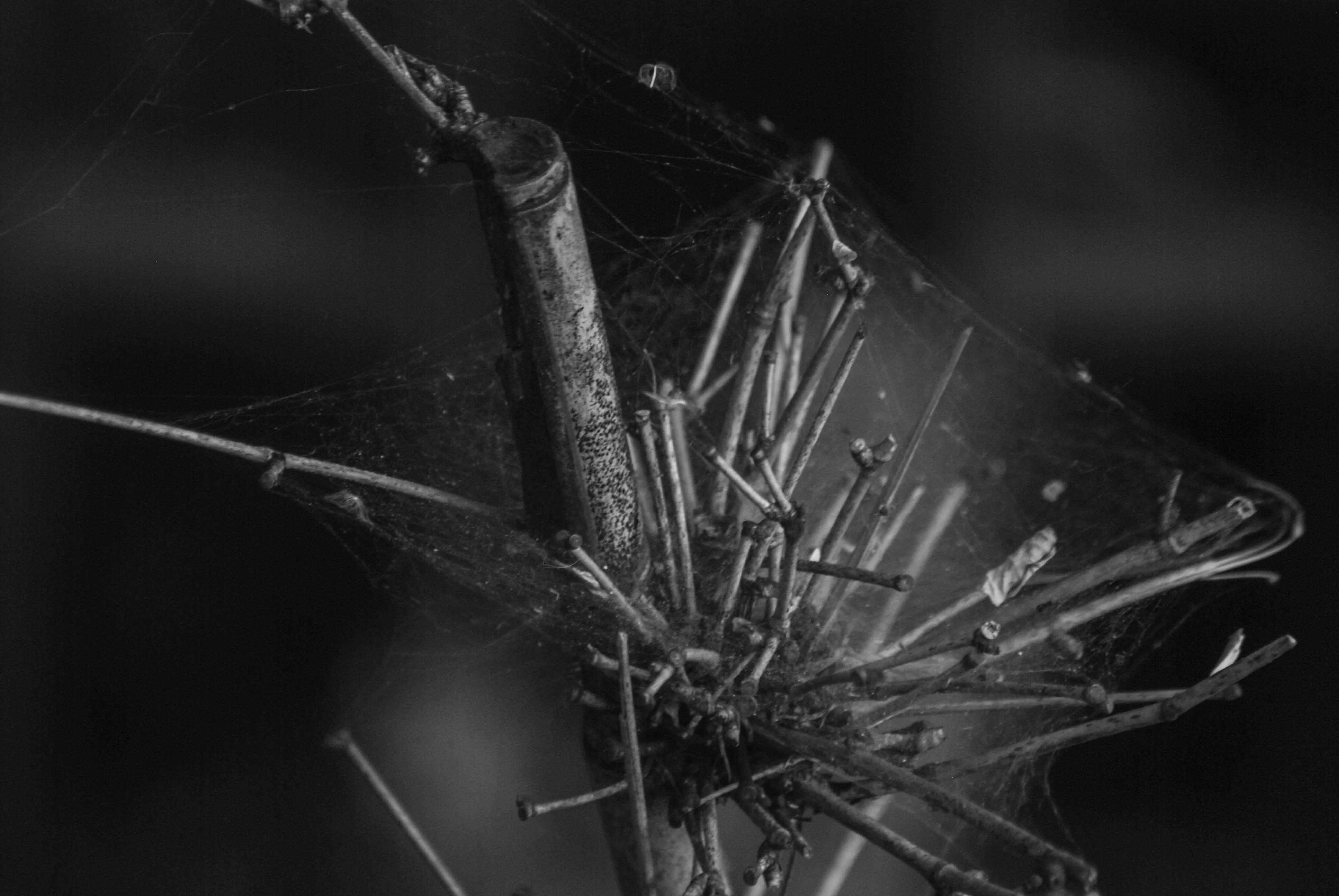 1000元二手全画幅单反相机推荐,2022最建议买的二手单反相机