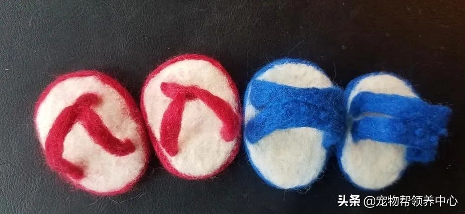 蓝猫洗澡闹脾气暴躁主人怎么制服,猫咪拖鞋蓝猫和白猫