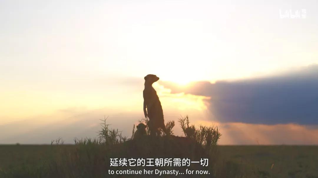 豆瓣评分9.5以上的国产电影有哪些,十部顶级神片推荐