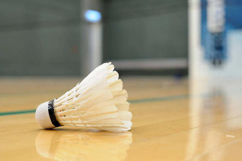 打网球和羽毛球哪个费钱,打网球和打羽毛球是差不多的嘛