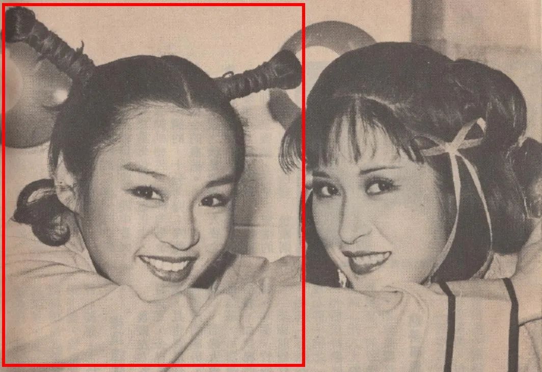 鹿鼎记各种韦小宝版本大盘点,鹿鼎记哪个版本的韦小宝演得最好