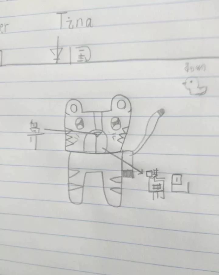 为什么选择泰国留学的人多,为什么很多人到泰国读国际学校