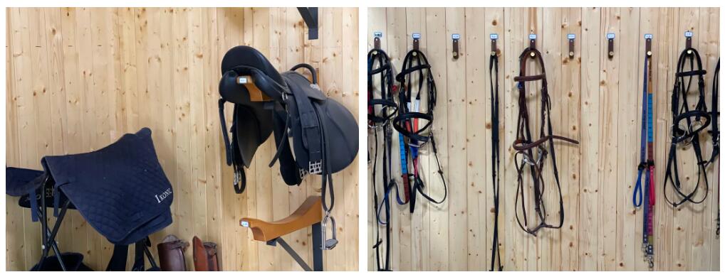 徐州首家TOP级马术俱乐部｜英骐国际马术俱乐部，2000㎡超大场地