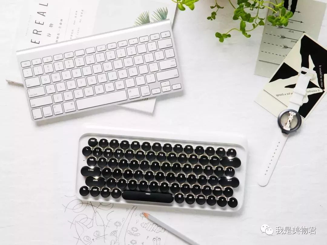 10款办公室必备好物了解一下,元气满满的屋里好物推荐