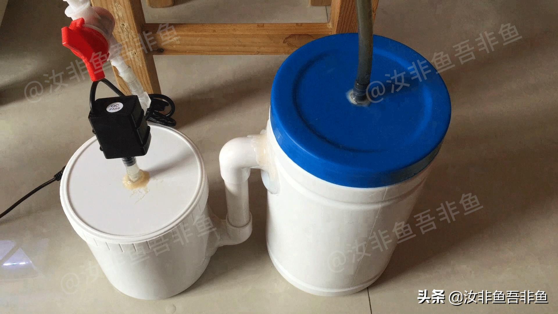 孔雀鱼鱼缸简易过滤器制作,鱼缸开缸过滤器制作方法