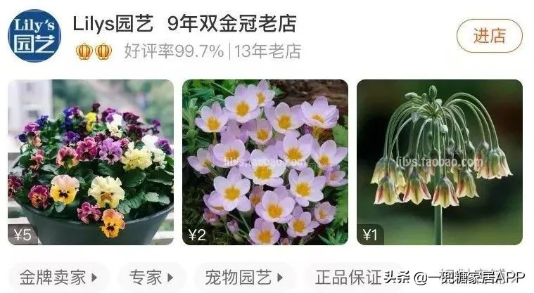 春天花会开|这20家植物淘宝店，植物杀手看了也想买！