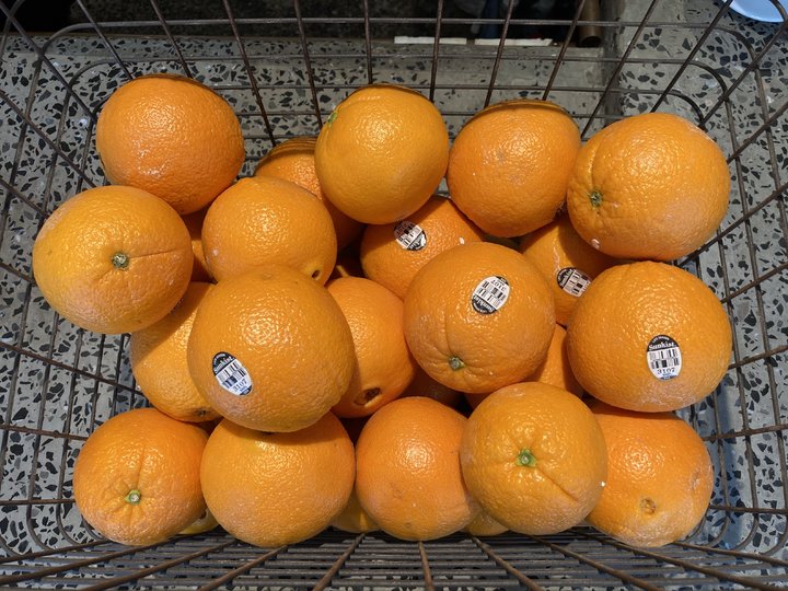 iphonese测评拆机,iphonese评测2020