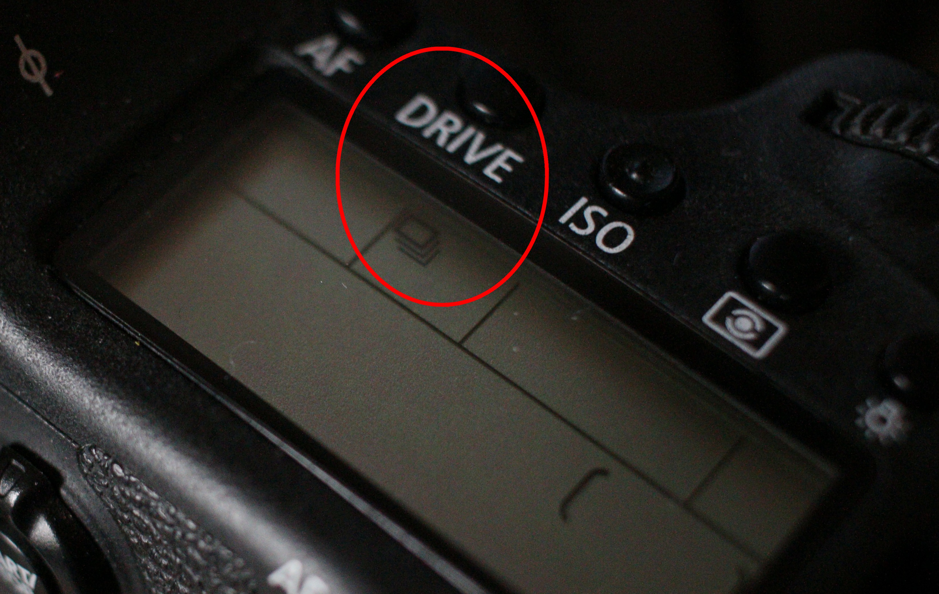 单反相机拍运动场景技巧,用什么软件能让单反相机自动抓拍