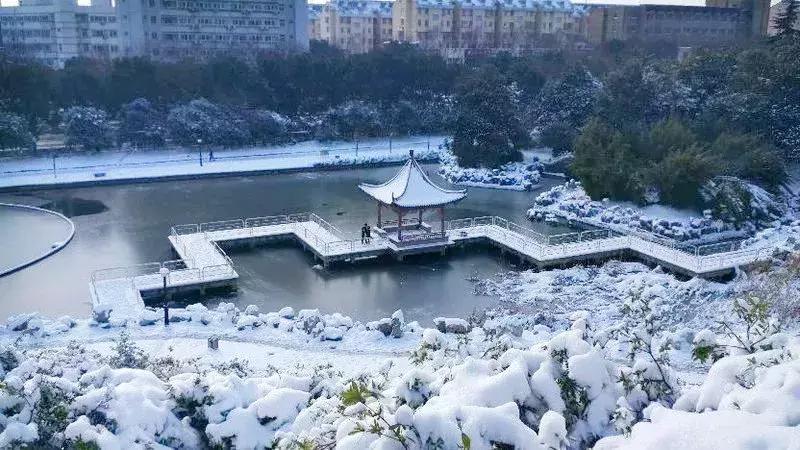 在大厂工作是种什么体验,生活在大厂是种什么样的体验