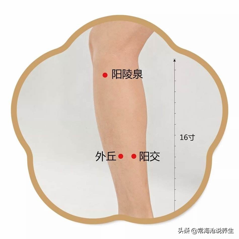 控制脂肪肝吃什么,降脂肪肝穴位