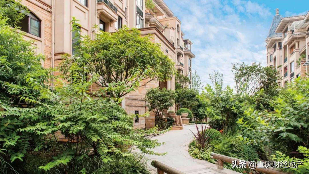 在北区未来发展引擎核心区内，竟藏着一个“世外桃源”