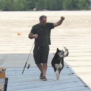 幽默gif：表哥误入传销之后，刚报完警，就收到消息