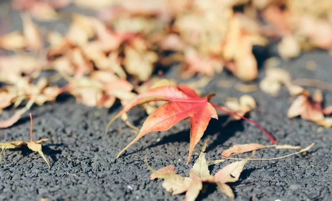 莫干山裸心谷门票,莫干山裸心谷团购