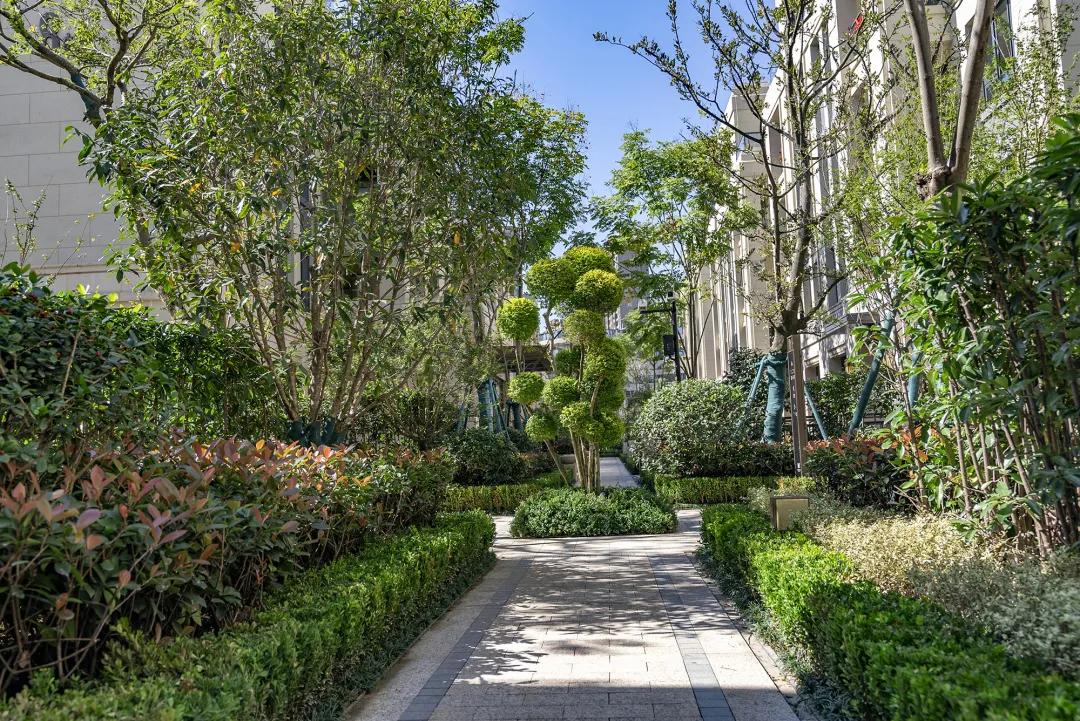 现场直击！瑞祥热盘提前一个月交付，内部实景曝光