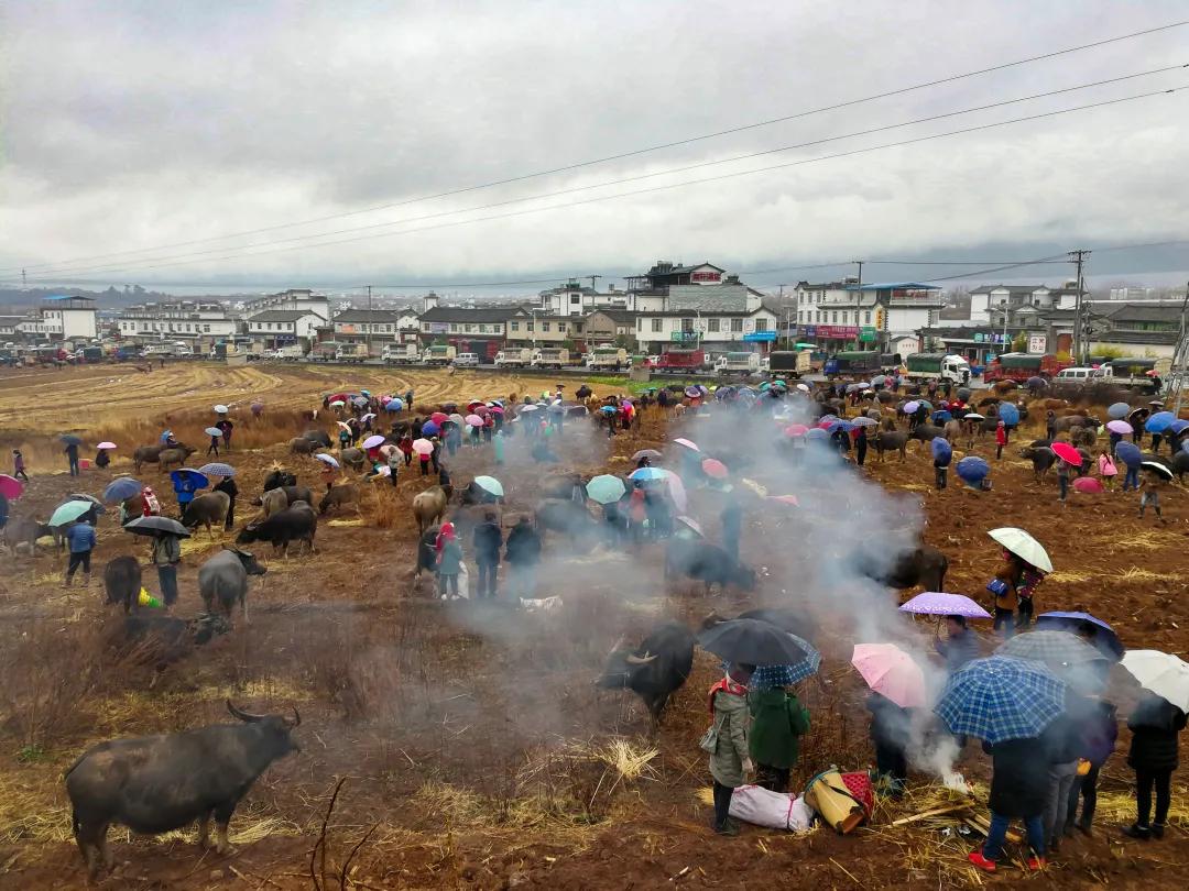 2023平遥国际摄影节获奖摄影作品,2009大理摄影展获奖作品