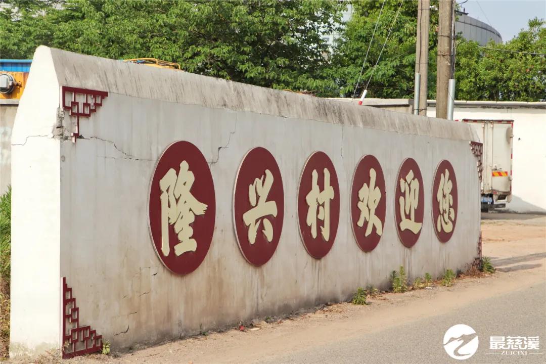 慈溪打听猫,慈溪要搬迁的村庄