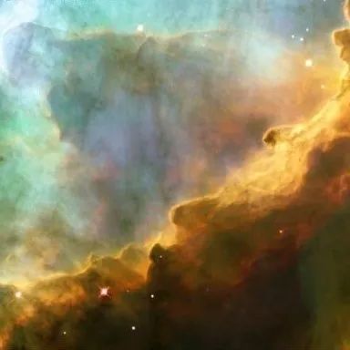 假期儿童纪录片推荐经典,青少年假期推荐纪录片