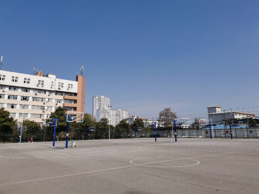 南阳理工学院,南阳理工学院全国真实排名