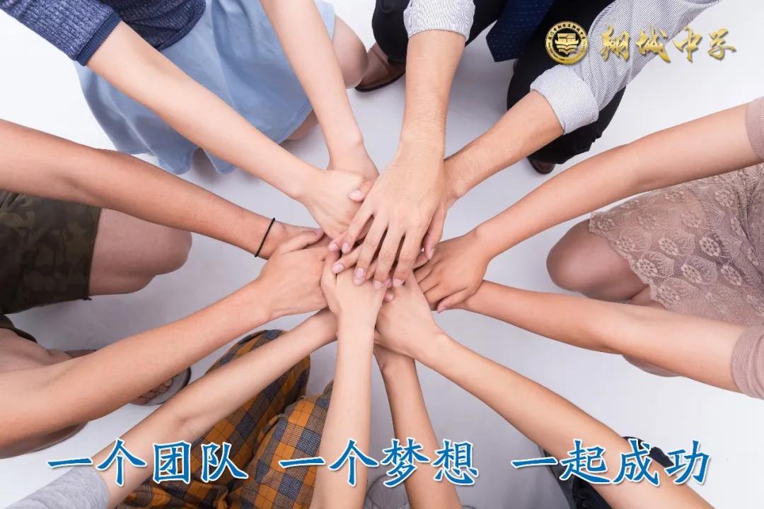 南部新城公立学校哪个好,南部新城的初中有哪些