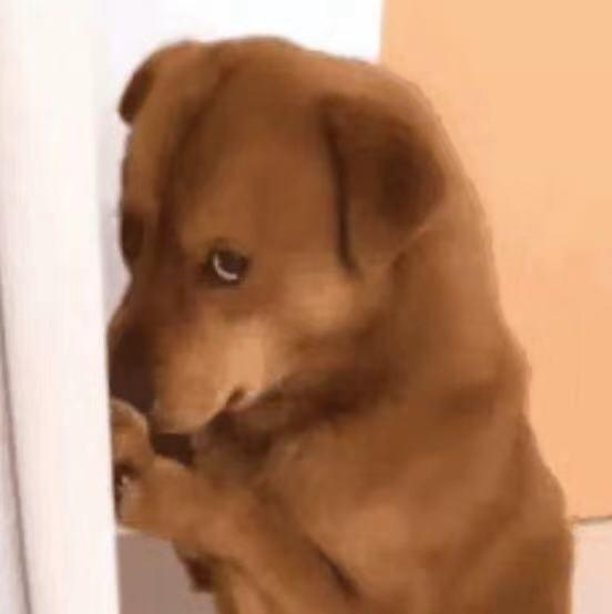 拼多多全棉时代旗舰店是真的吗,拼多多全棉时代