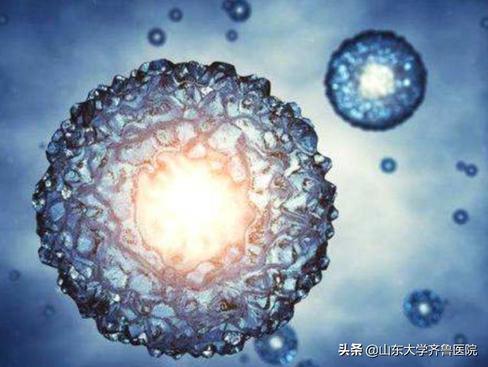 从梦想到理想从现实到未来,从希望到梦想再到拥有