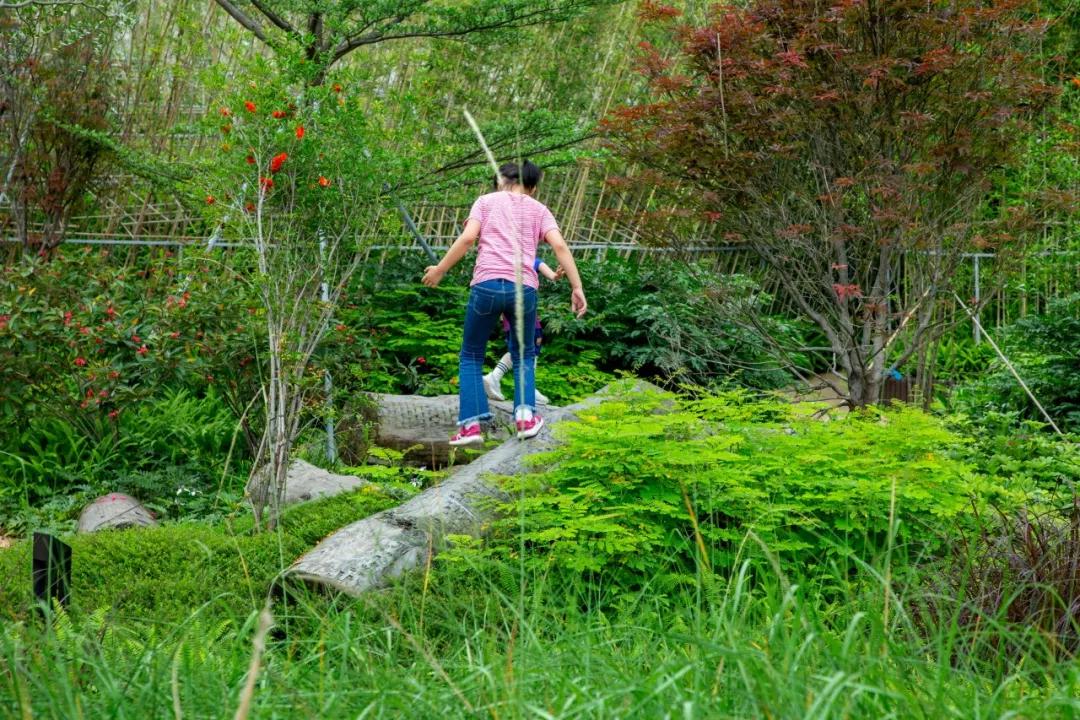 童年主题的景观设计,高端儿童景观设计