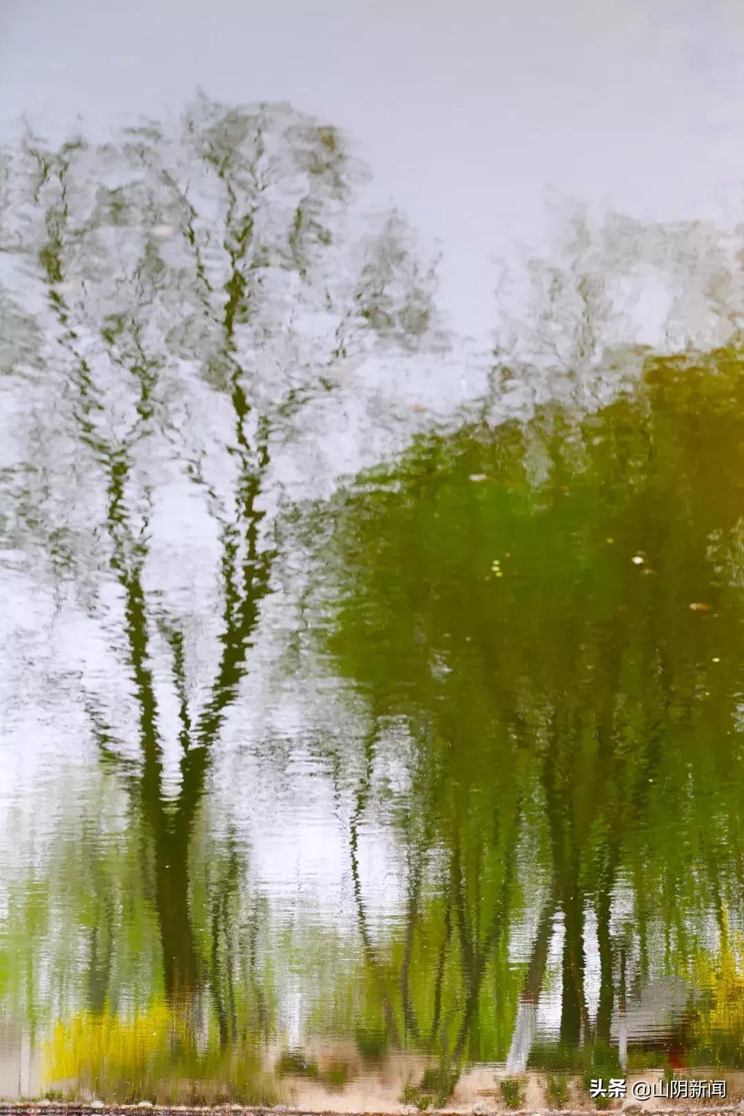 春天里最美的遇见歌曲,春天最美的文案就是油菜花