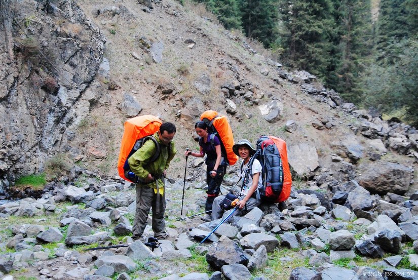 狼c调简谱教唱,狼c