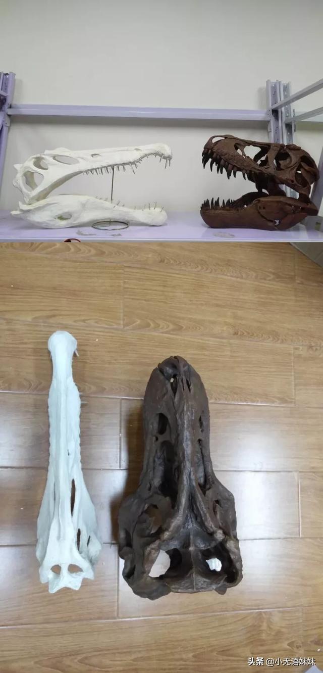 《侏罗纪公园3》棘龙打败霸王龙：主角光环实力碾压？