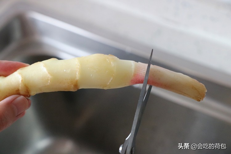 三伏天怎么吃姜嫩芽,三伏天生姜粉怎么吃最好
