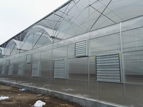 轻钢结构连栋薄膜温室大棚,连栋大棚建造全过程