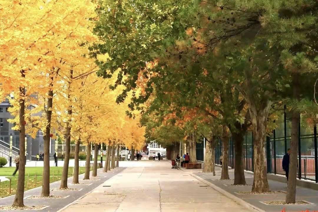 校名中含第二的大学,校名极其相似的两所大学差距