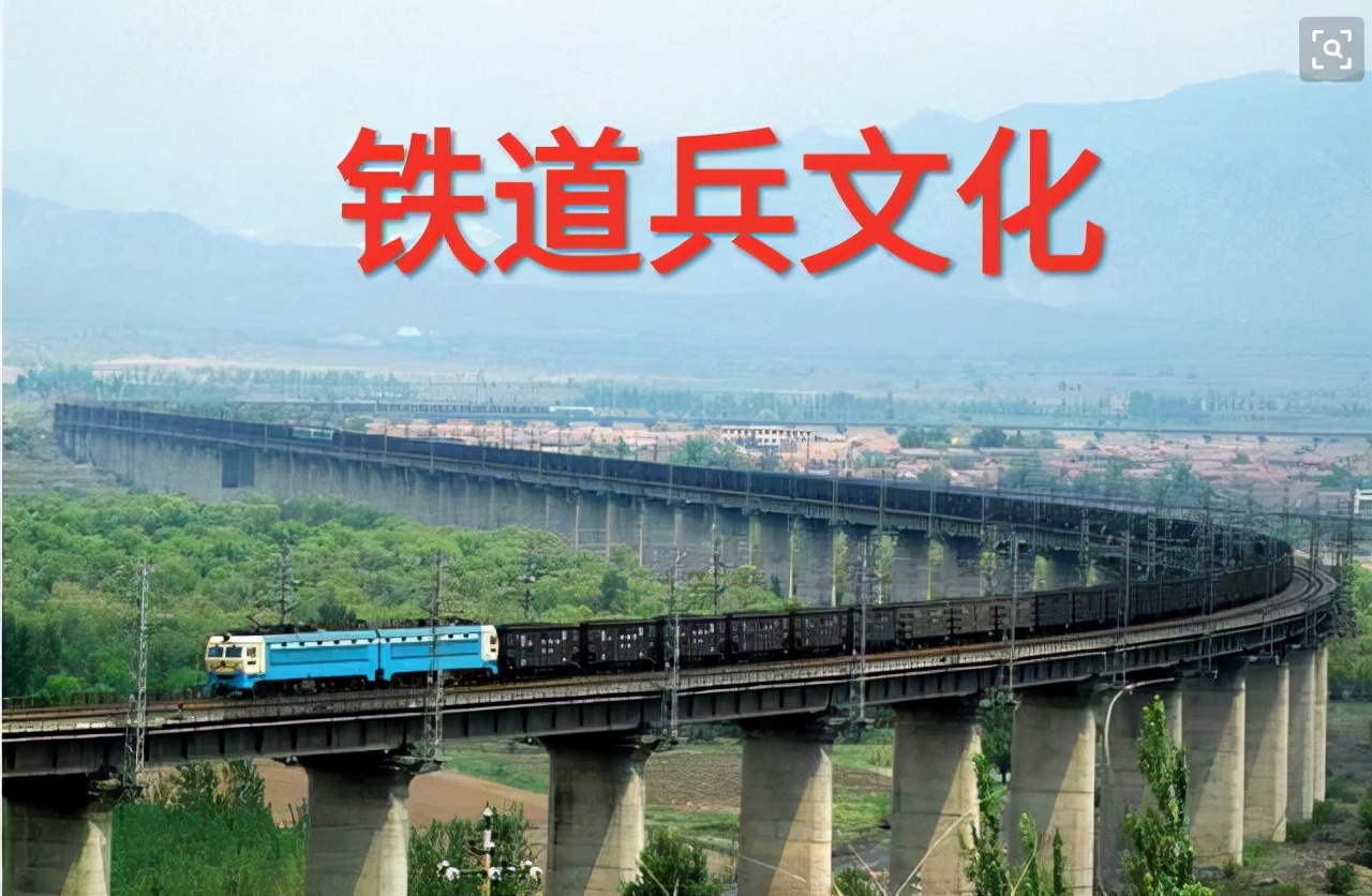 绽放的芦花（散文）作者：王学龙